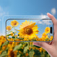 HD Tempered Glass for iPhone