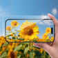 HD Tempered Glass for iPhone
